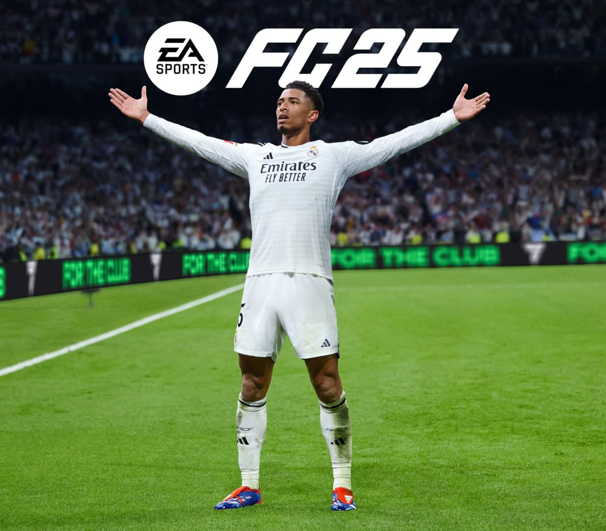 EA SPORTS FC 25 US Nintendo Switch CD Key
